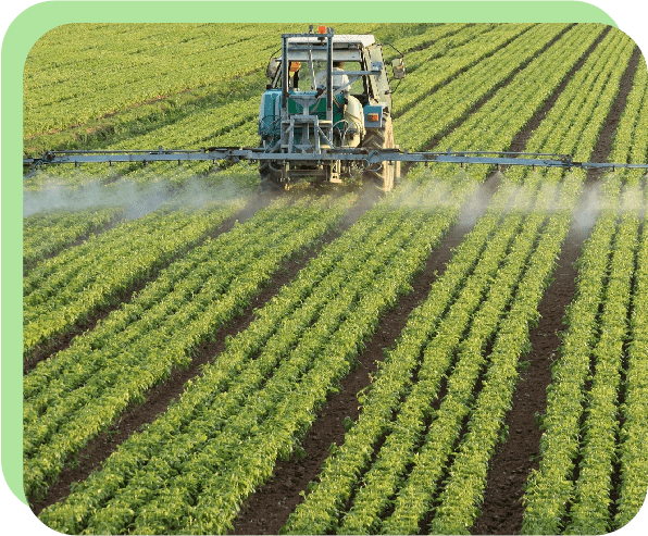 A tractor spraying crops with a sprayer.